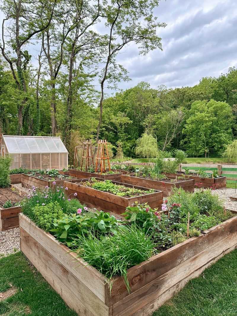 Sketch This Year's Vegetable Garden Plan