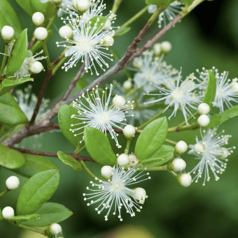 Simpson's Stopper Adds Privacy Without Making The Area Feel Boxed In