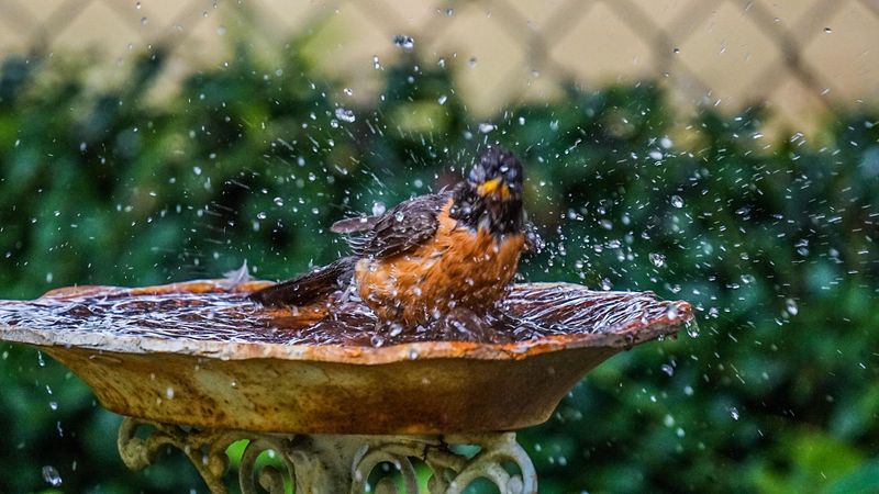 No Reliable Water Source