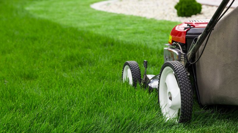 Why You Should Avoid Mowing Wet Grass