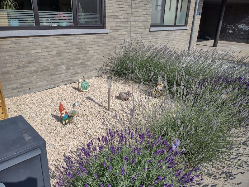 A Front Yard Look That Always Feels Fresh