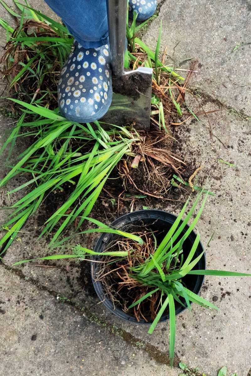 Early Spring Is The Safest Time Before Heat Builds