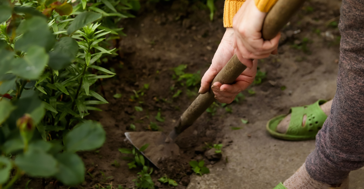 The Biggest Mistakes Pennsylvania Gardeners Make In Early Spring