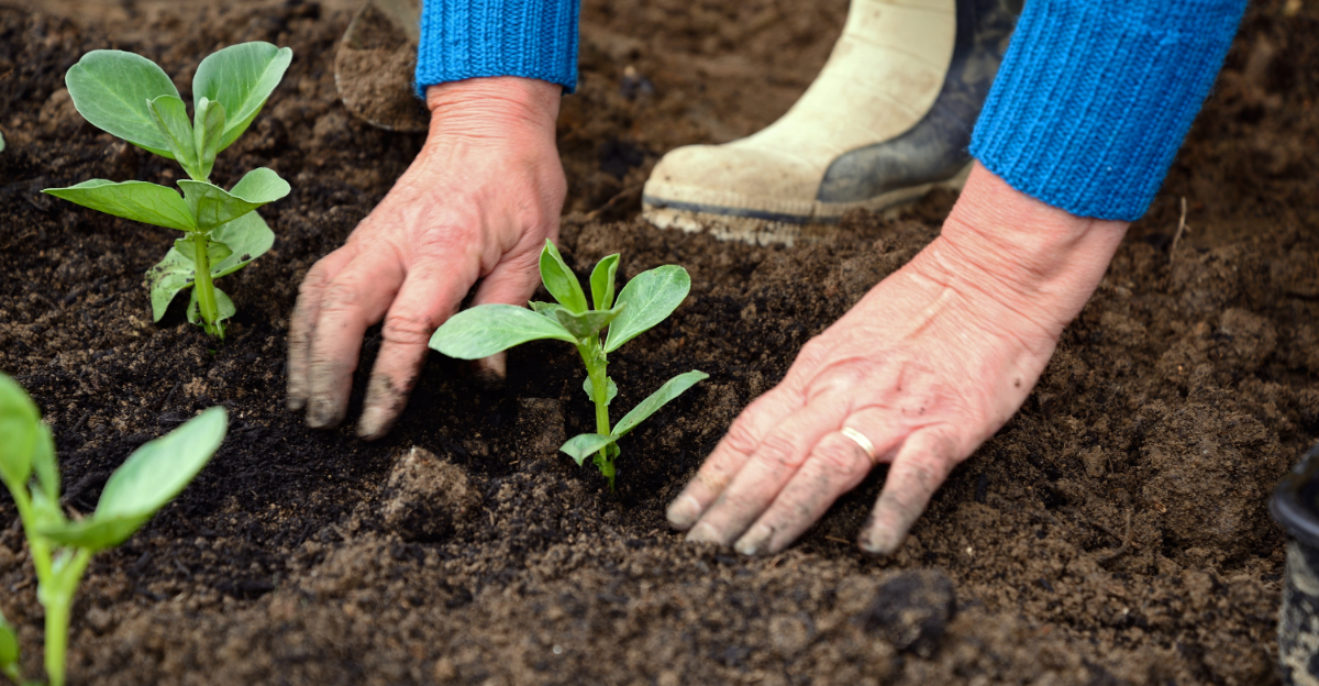 The Biggest Planting Mistakes Ohio Gardeners Make In April