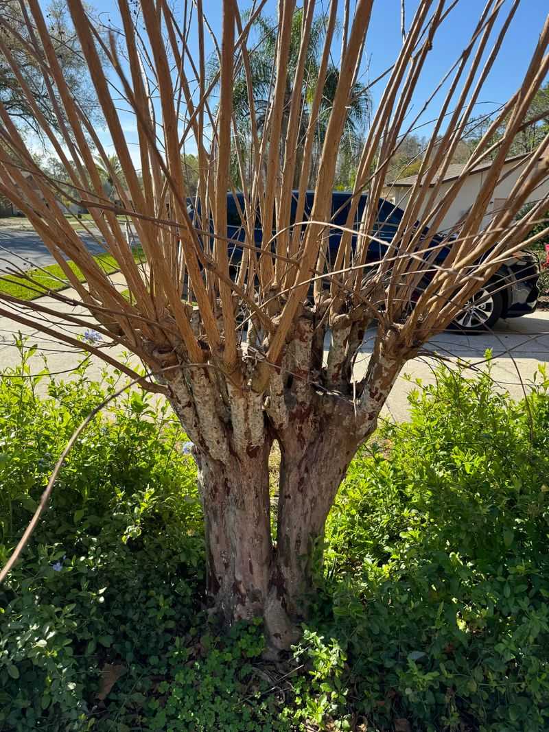 Planting In The Wrong Spot