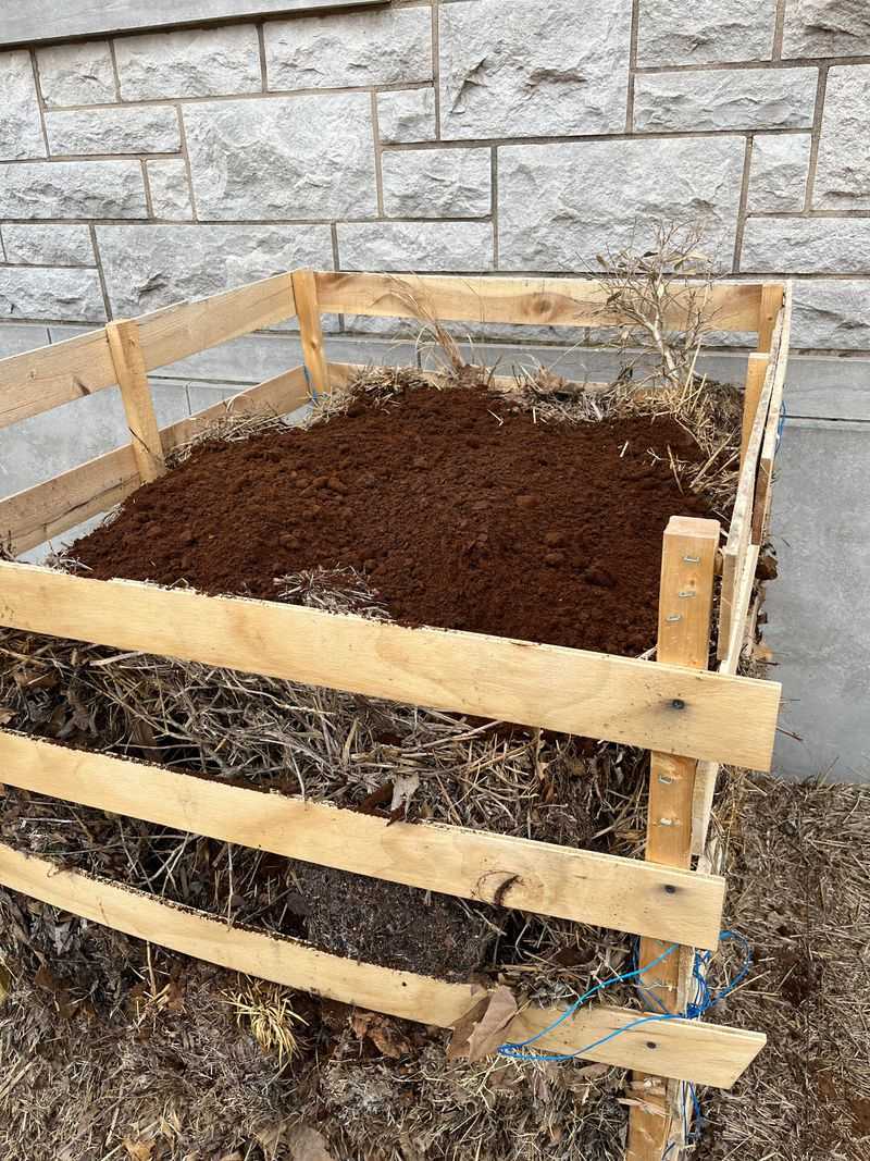 How To Use Coffee Grounds Without Growing Mold