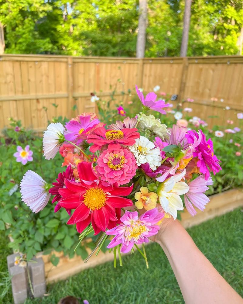 Why Californians Are Growing Cut Flowers