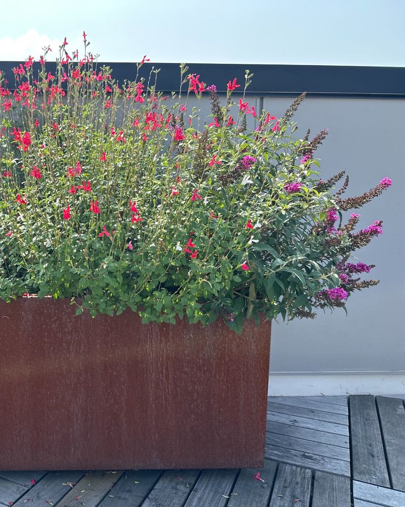 Start With A Bright Container That Handles Full Sun