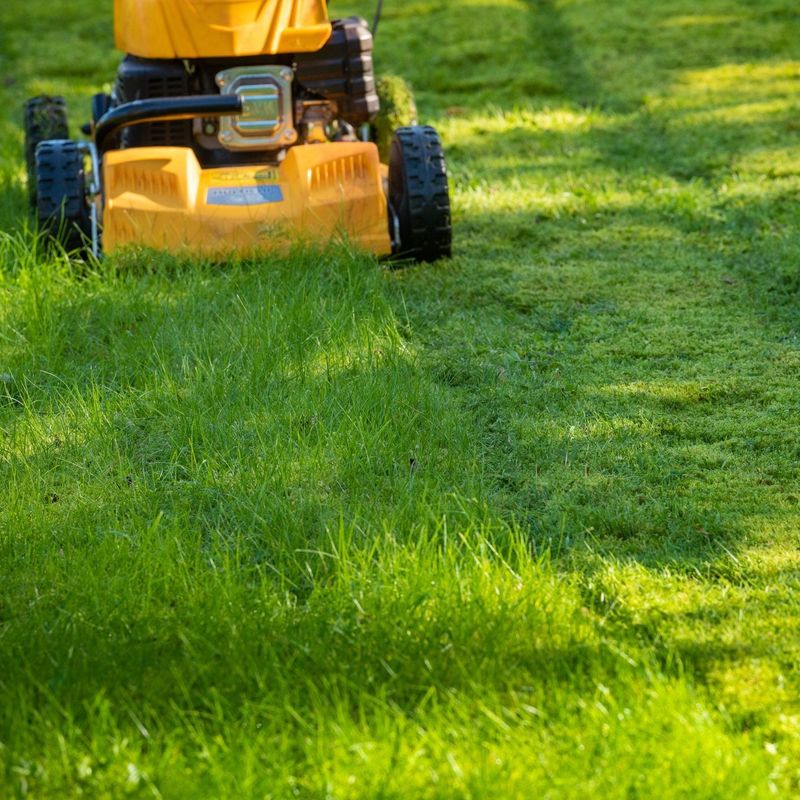 Scalping A Wet Ohio Lawn Can Do More Harm Than Good