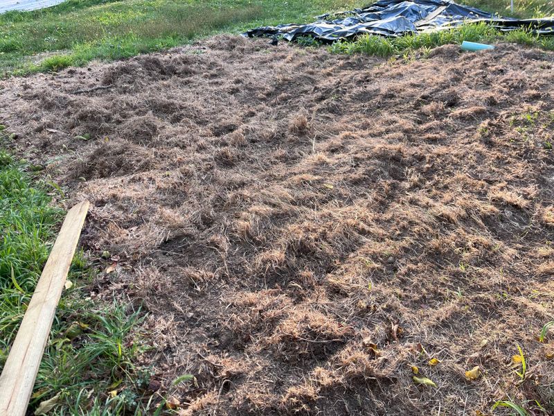 Soil Structure And Organic Matter Levels Shape Early Growth