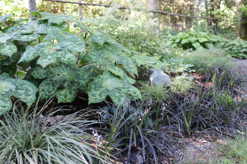 Waterlogged Winter Roots