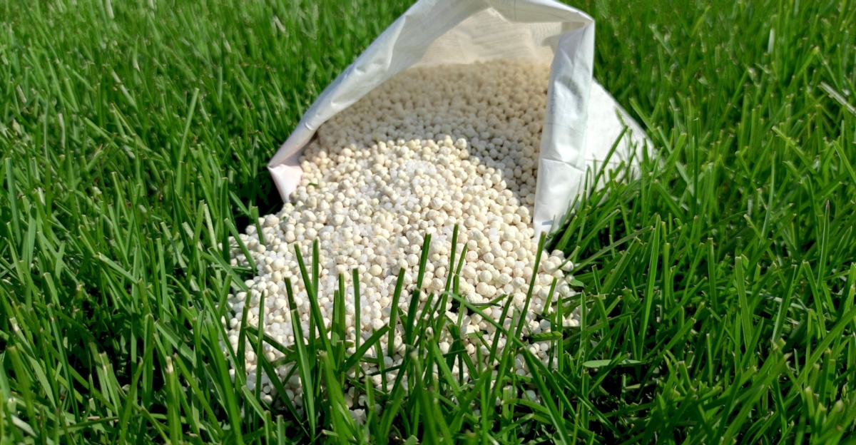 lawn fertilizer