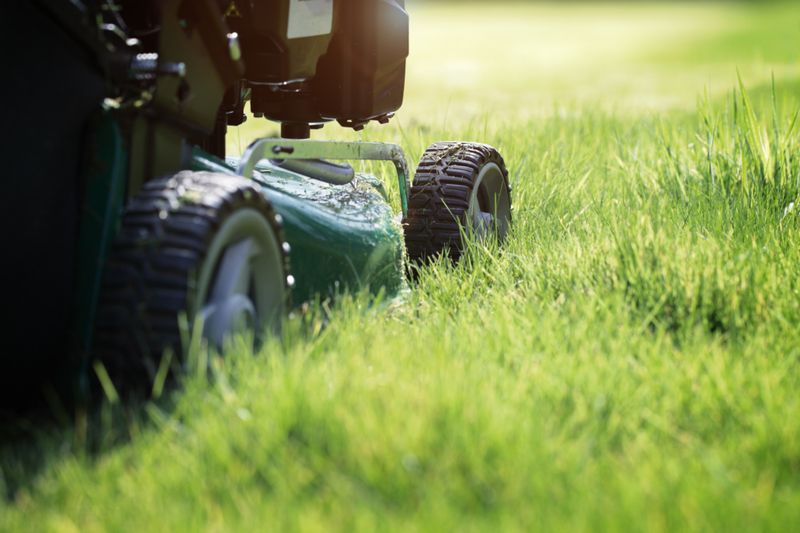 Setting Your Mower Blade Height For Healthy Grass