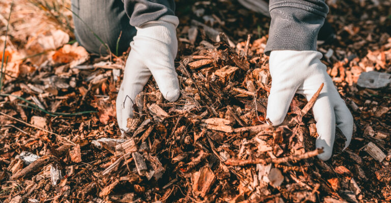 mulch (featured image)