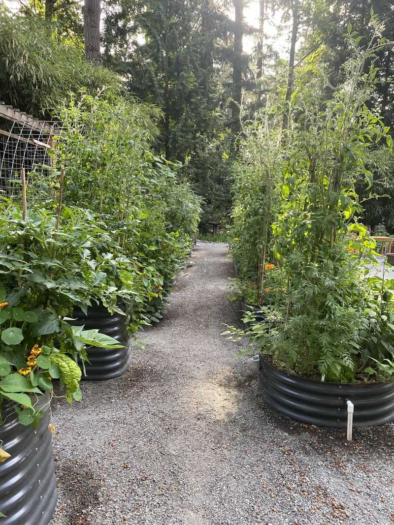 Group Tall Crops Together Instead Of Scattering Them