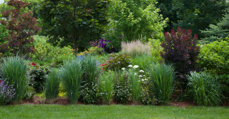 Prairie landscape meets English garden