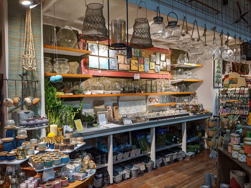 What Makes Browsing Here Feel More Personal Than A Big Garden Center