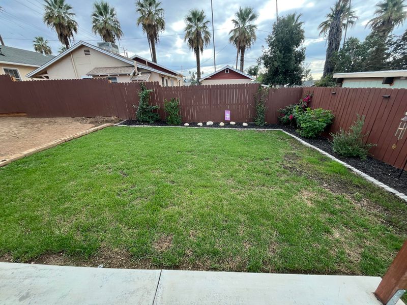 Why Lawns Are Failing