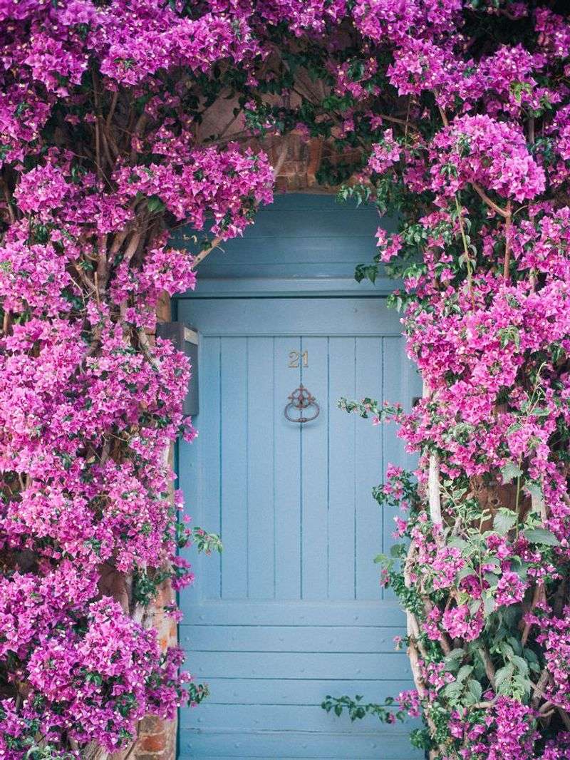 It Thrives In Intense Heat