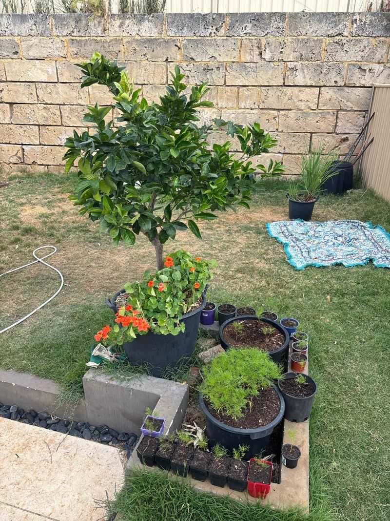 Why Planting Timing Matters More Than You Think