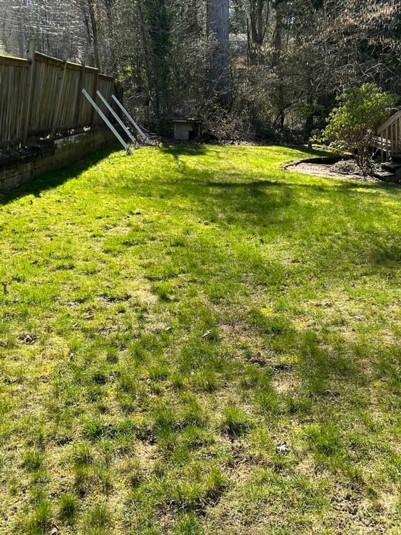 How Soil Acidity Can Influence Moss In Lawns