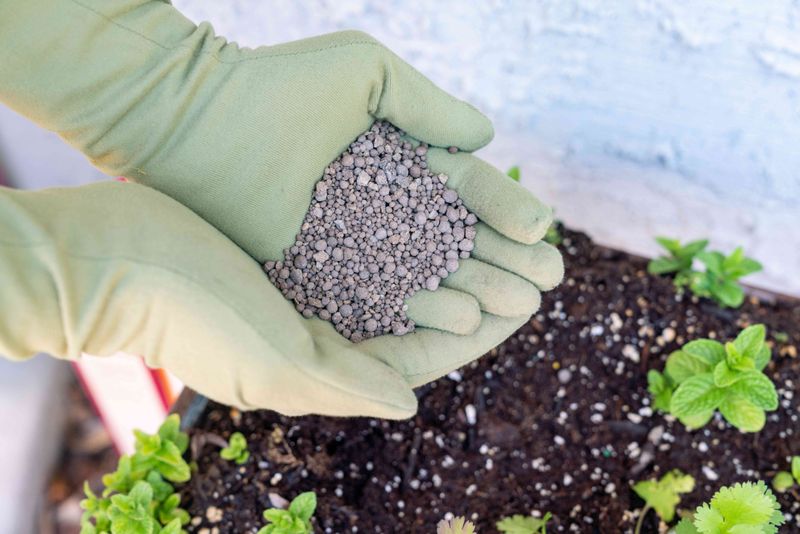 Natural Calcium Sources For Gardens