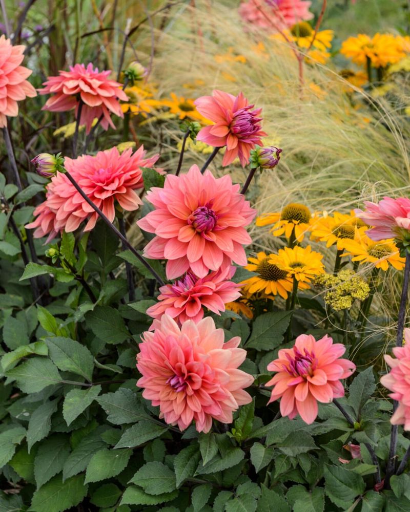 More Cutting, More Flowers