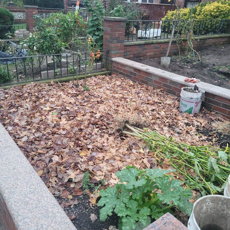 Clean Up Garden Beds