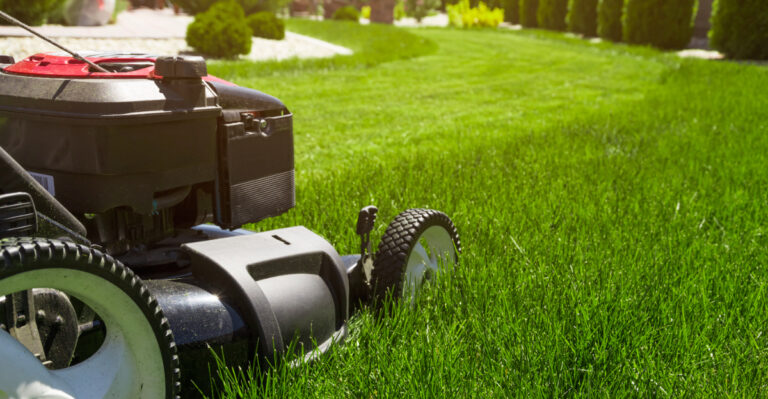 lawn mowing (featured image)