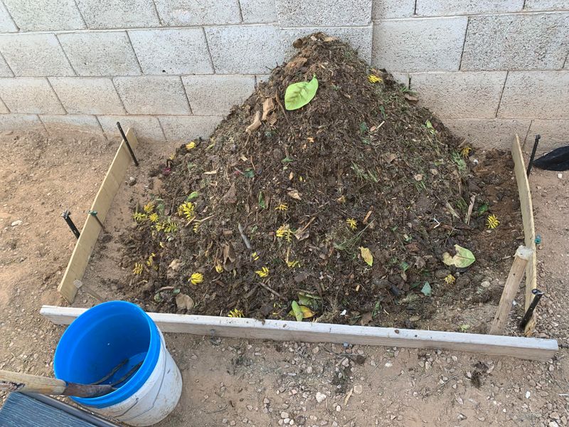Composting Transforms Yard Waste Into Valuable Soil
