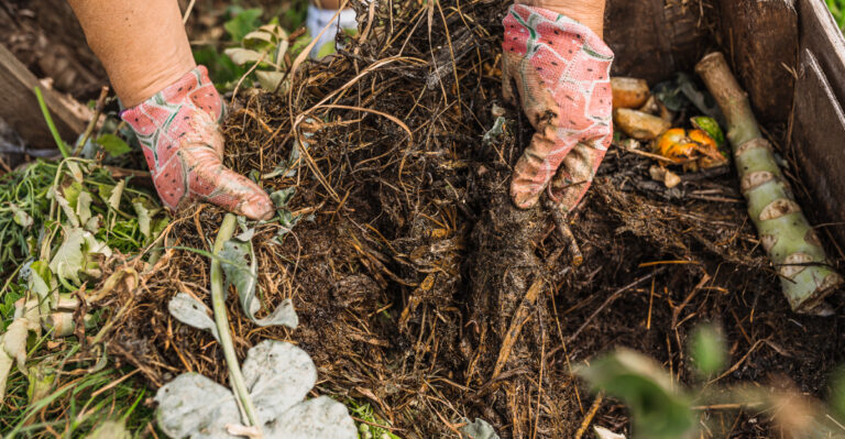compost (featured image)