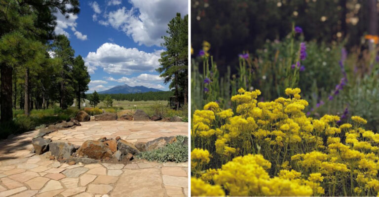 The The Arboretum at Flagstaff Deserves A Spot On Your Arizona Travel List
