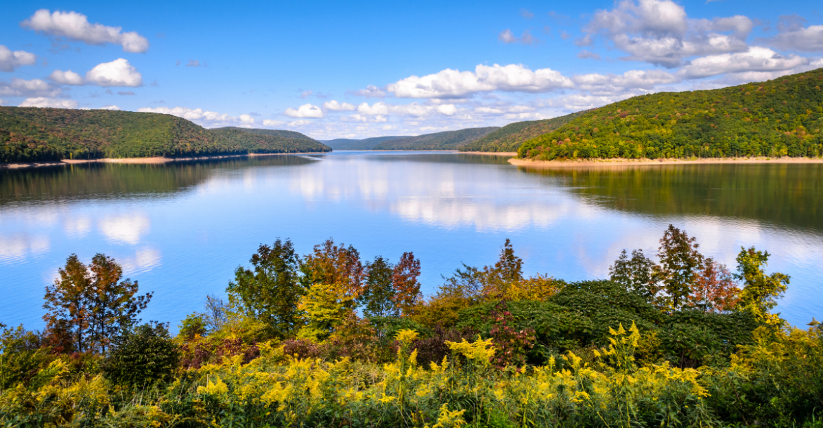 The Ultimate Pennsylvania Native Forests Road Trip