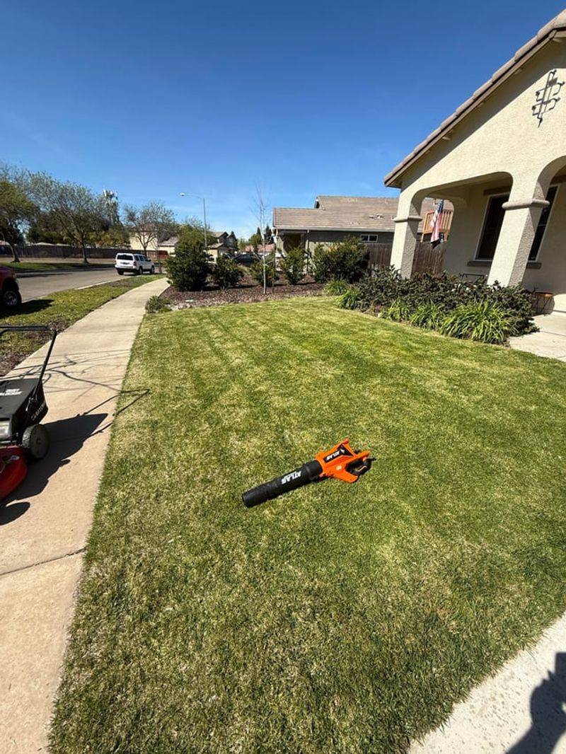 Grass Costs Too Much