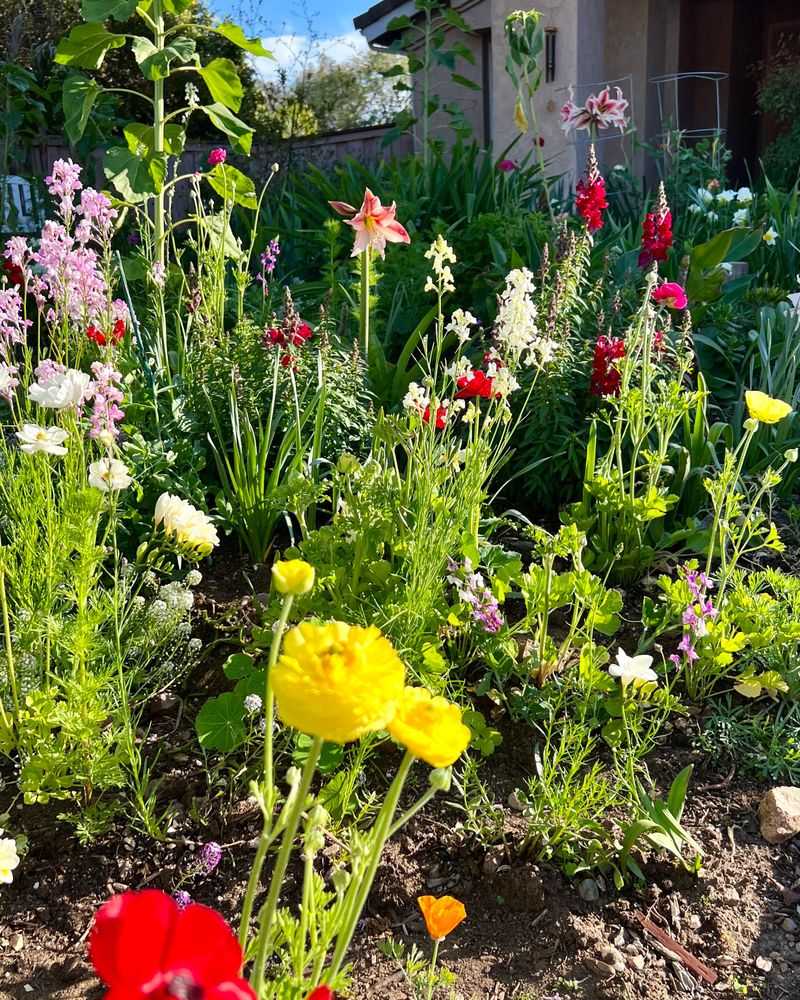 Warmer Winters Are Changing Plant Growth