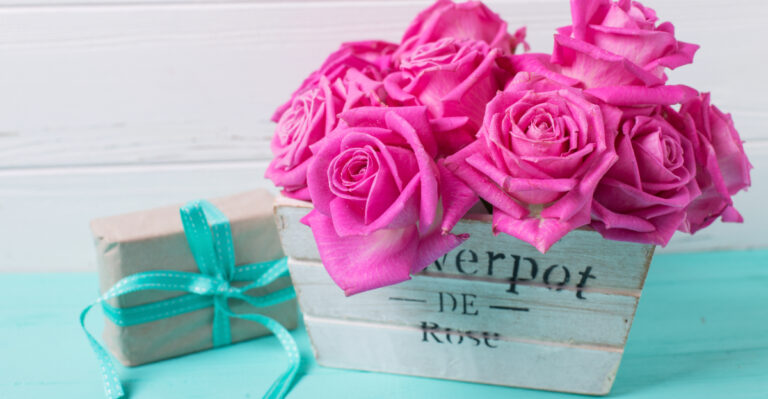 roses (featured image)