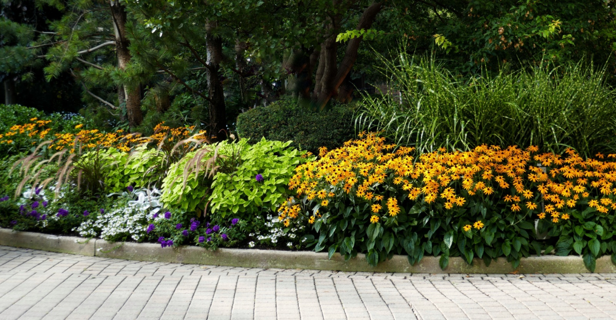 plants near the driveway