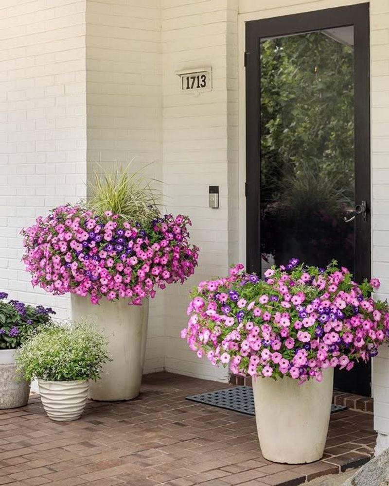 They're Easy For Home Gardeners To Enjoy