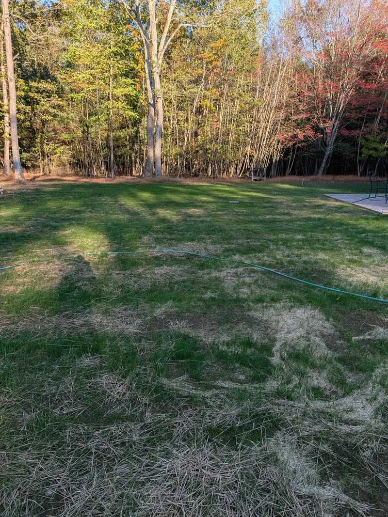 Fertilizing Timing Makes All The Difference