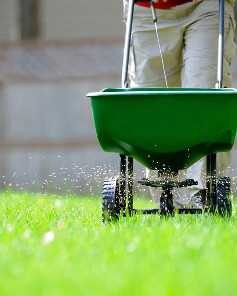 Stop Fertilizing Just Because It Feels Like Spring