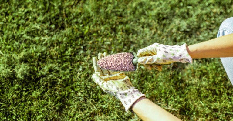 woman holds a shovel of fertilizer