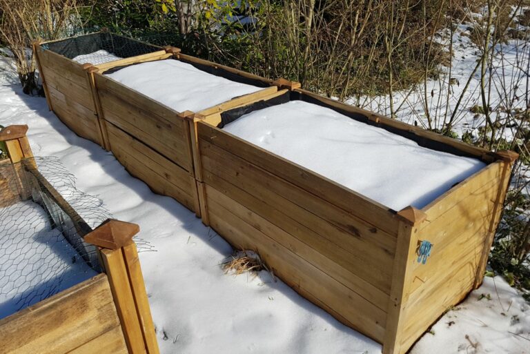 snow on garden bed