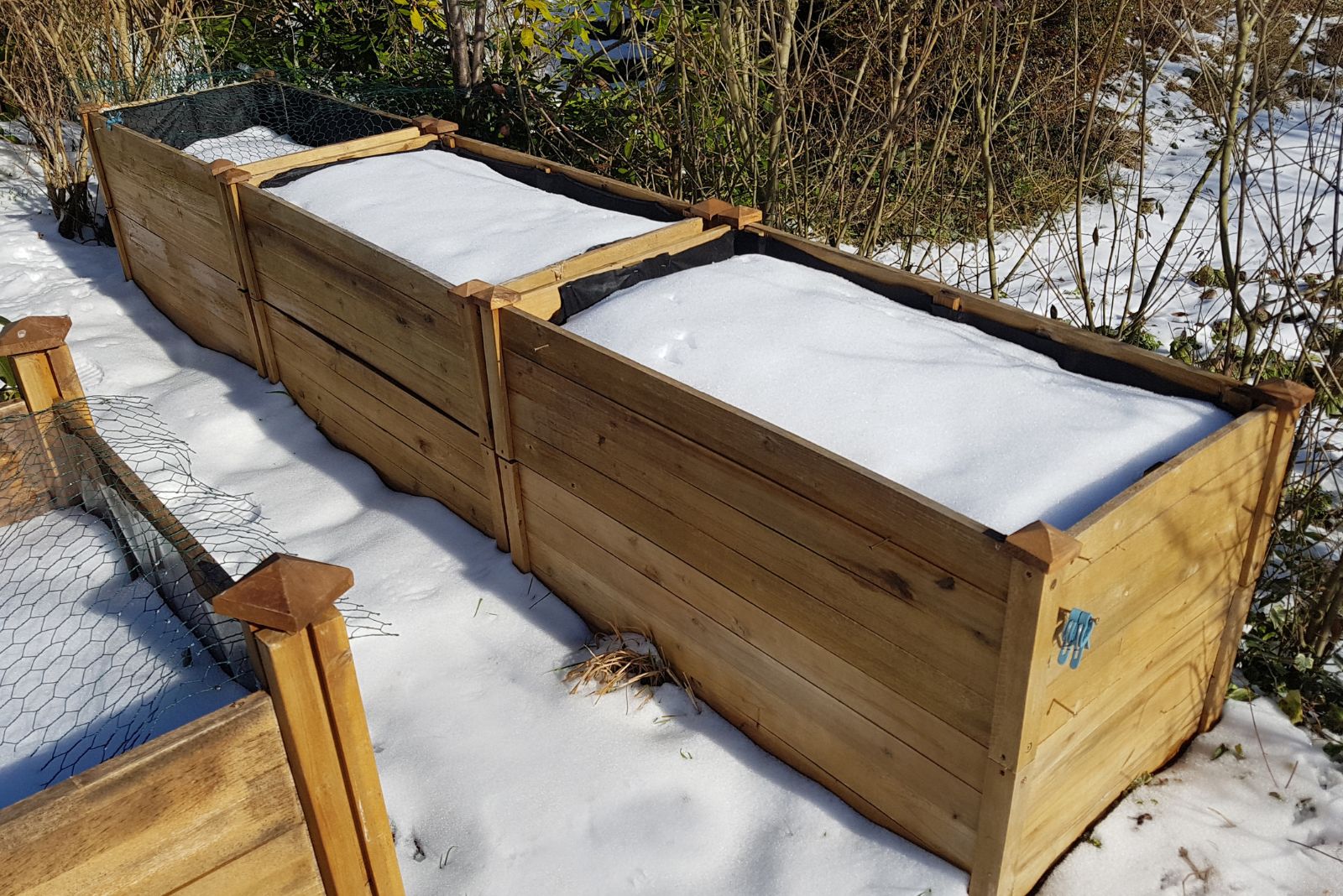 snow on garden bed