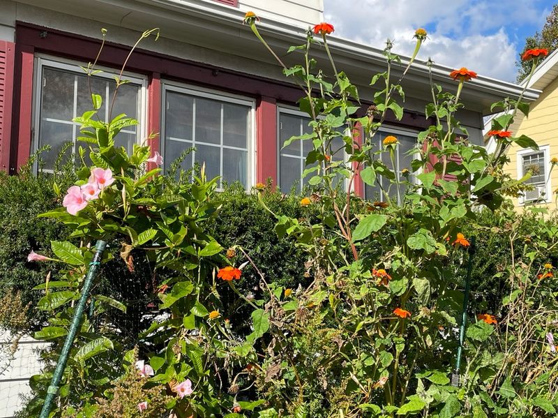 Start By Cutting Back The Mess