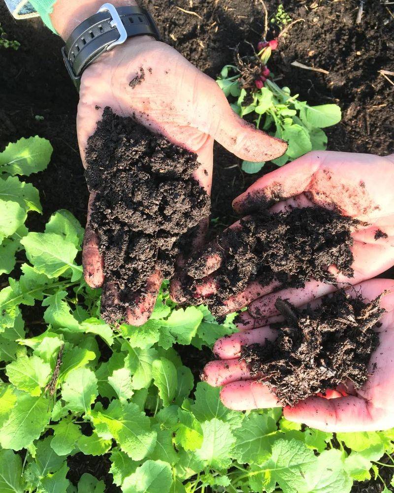Start With Healthy Soil