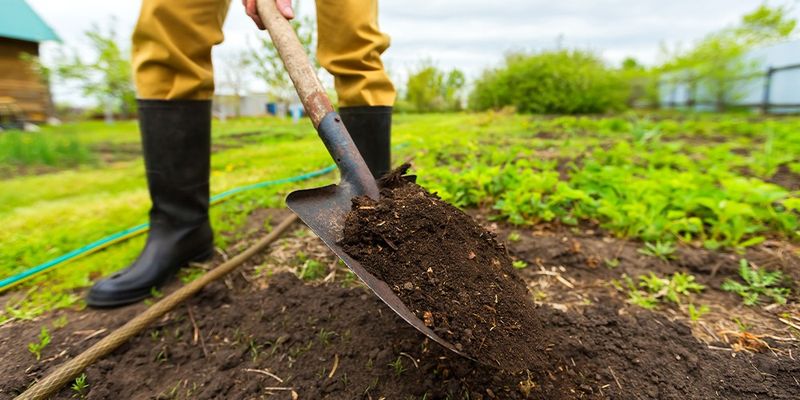 A Few Warm Days Do Not Mean Ohio Soil Is Ready