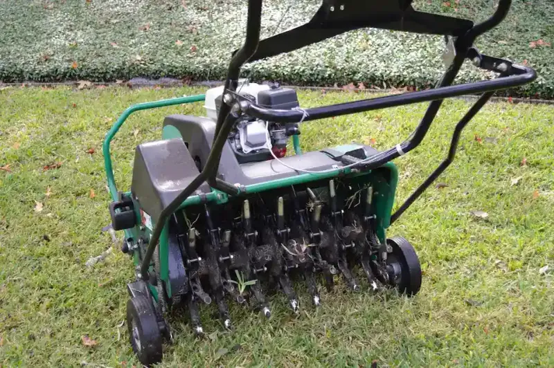 Aerating Too Early Can Damage Your Lawn