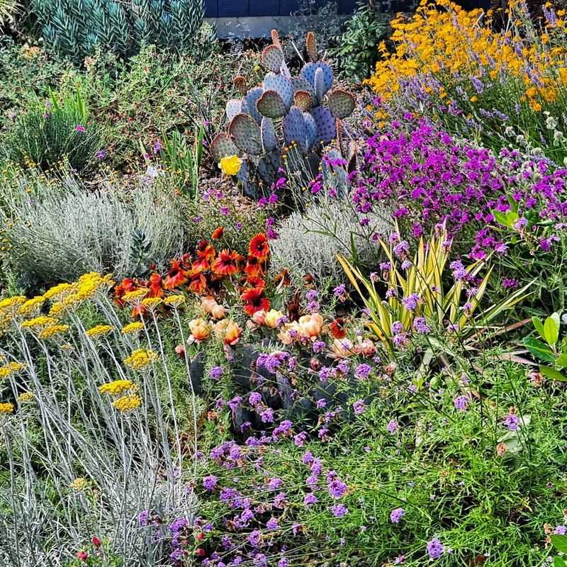 Why Color Makes All The Difference