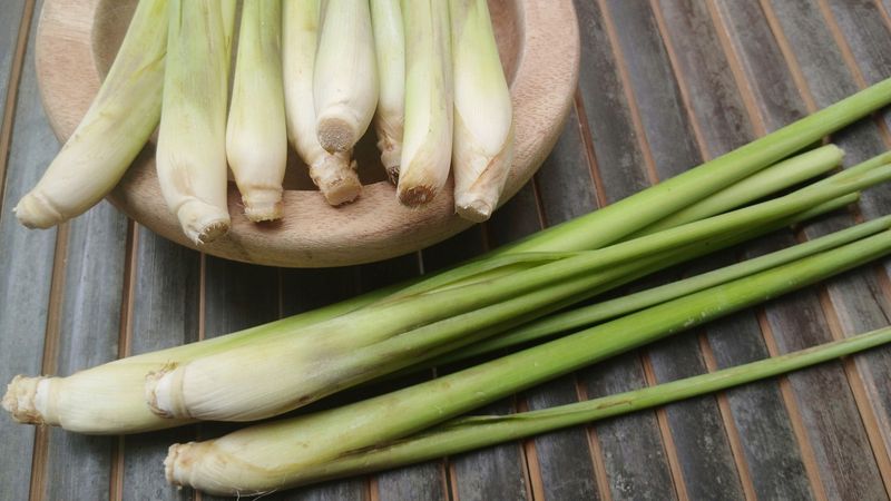 Adds Culinary Value To Your Kitchen