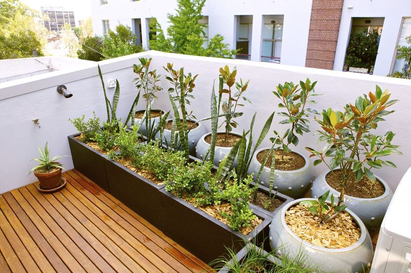 Raised Bed Containers